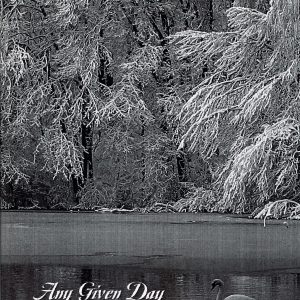Any Given Day
