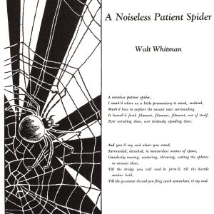 Noiseless Patient Spider